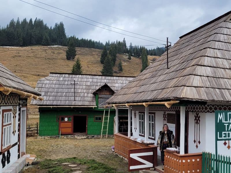 Cele 8 case tradiționale din Ciocănești