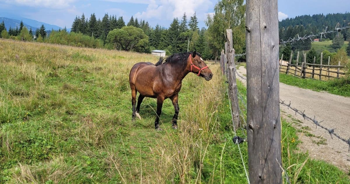 Agrotourism and rural tourism